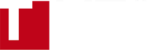 t-mts logo