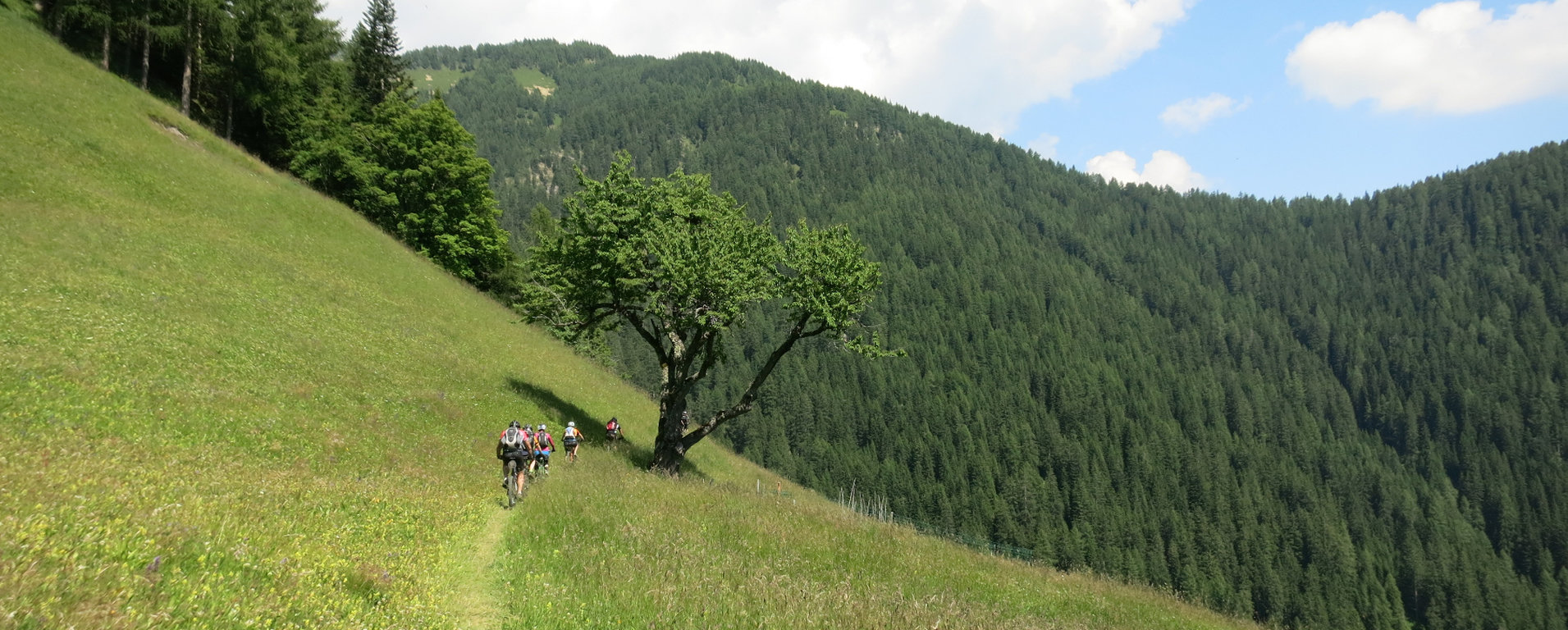 Endlich! Alle Touren an einem Ort!